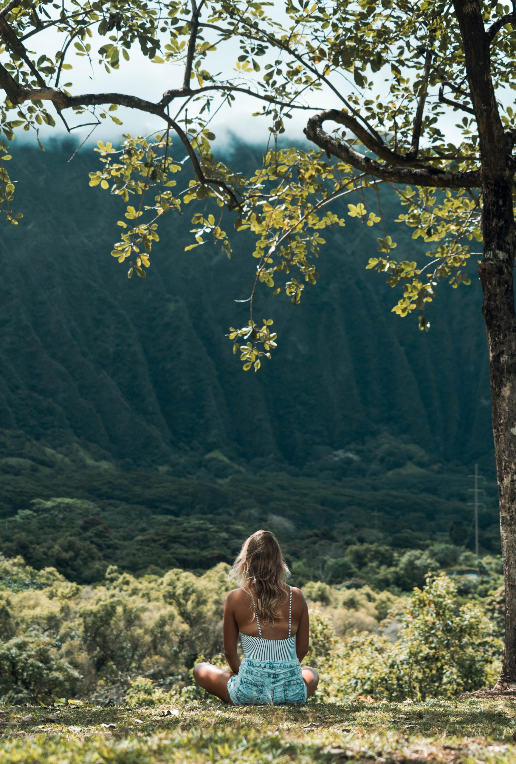 Mindfulness i naturen
